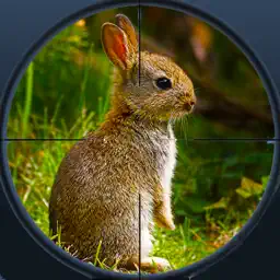 丛林兔狩猎3D亲极端猎人2017年